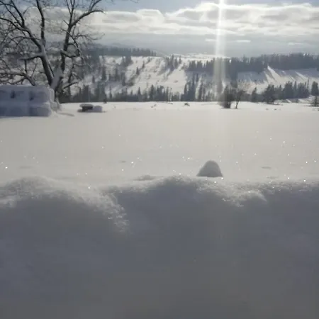 Domki Z Widokiem Na Tatry Banska Exterior photo