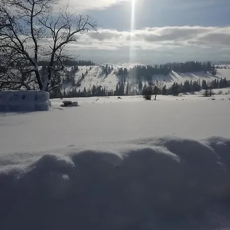 Domki Z Widokiem Na Tatry Banska Exterior photo