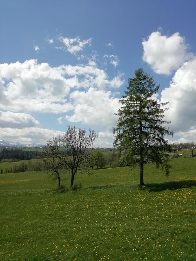 Chalet Z Widokiem Na Tatry *
