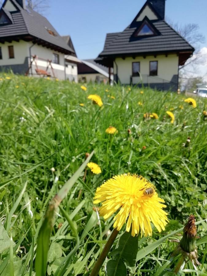 Z Widokiem Na Tatry Chalet Banska