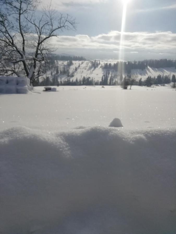 Z Widokiem Na Tatry