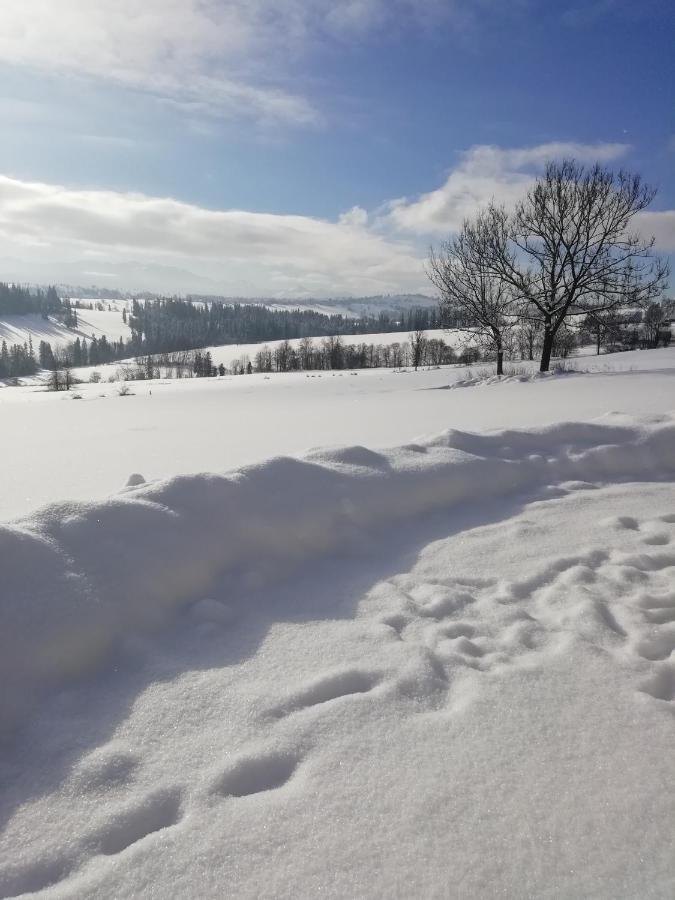 Z Widokiem Na Tatry Chalet